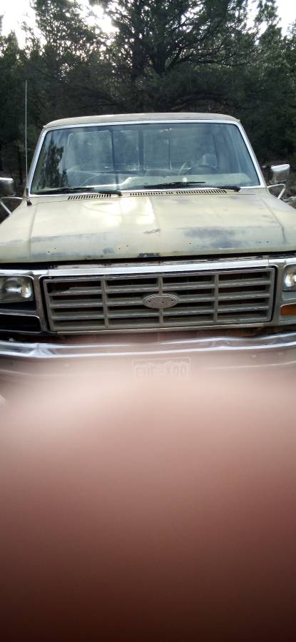 Ford-f-150-4-wd-pickup-1981-yellow-1