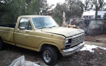 Ford-f-150-4-wd-pickup-1981-yellow
