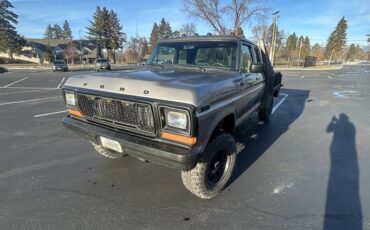 Ford-f-250-1978-grey-9