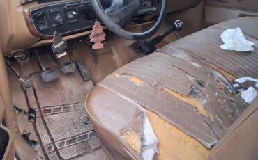 Ford-f-250-1988-custom-2