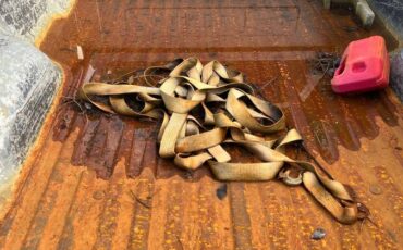 Ford-f-250-highboy-1977-grey-9