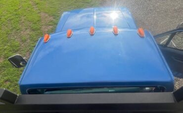 Ford-f-350-4x4-1989-blue-19