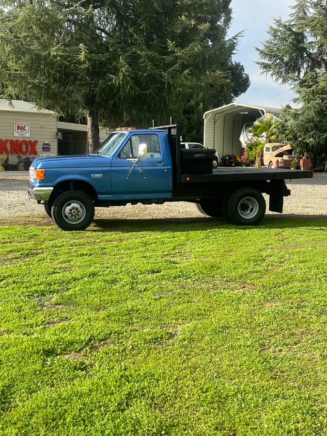 Ford-f-350-4x4-1989-blue-20