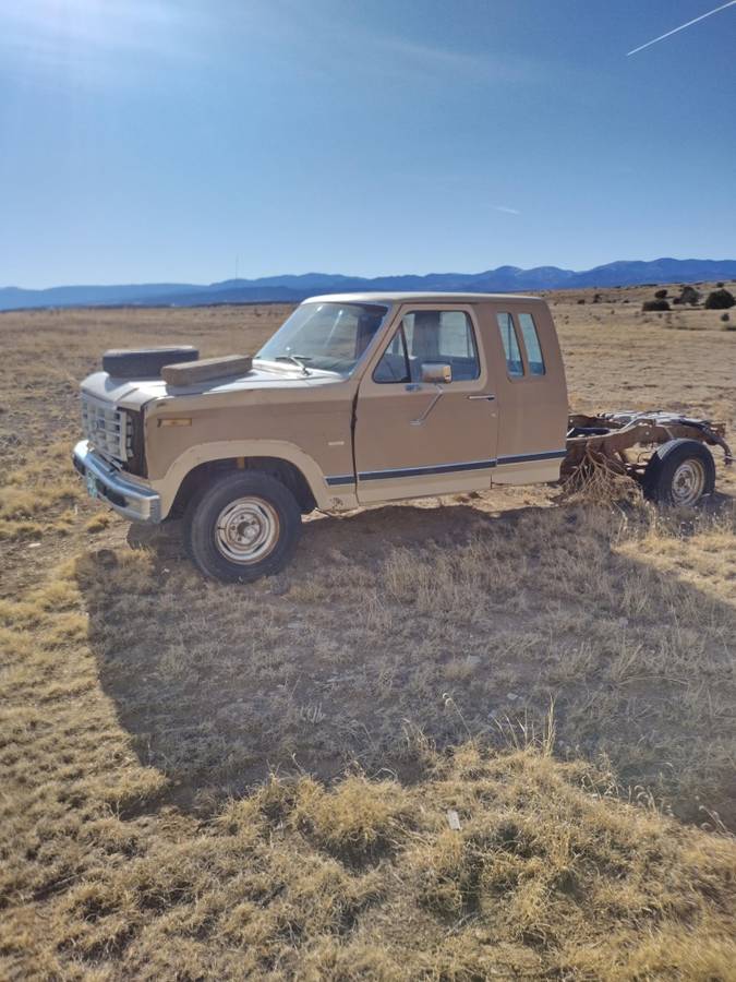 Ford-f100-1959-white-2
