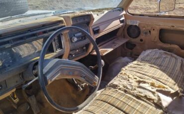 Ford-f100-1959-white-8