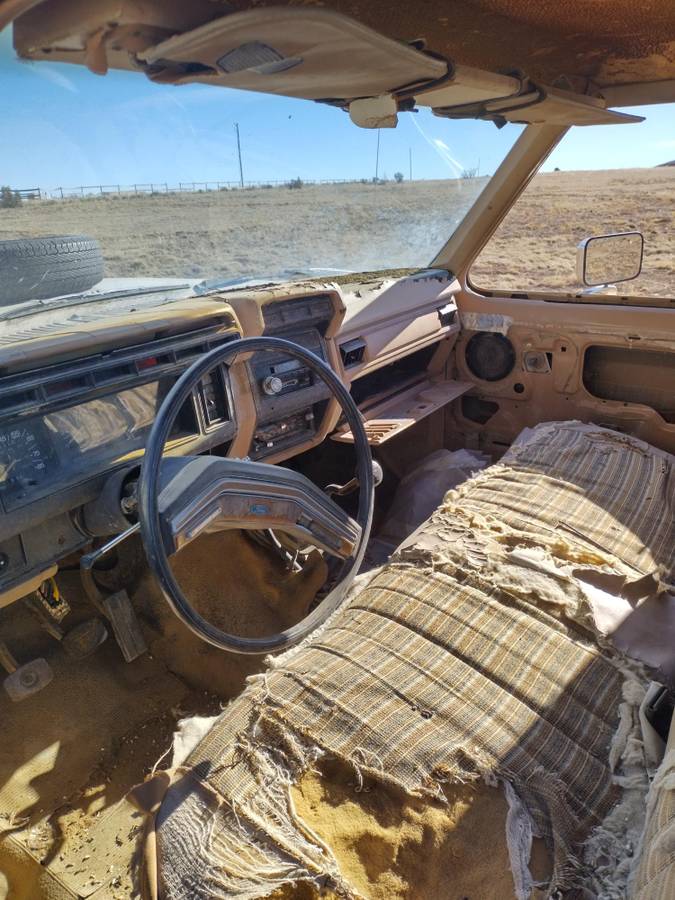 Ford-f100-1959-white-8