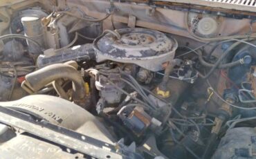 Ford-f100-1959-white-9