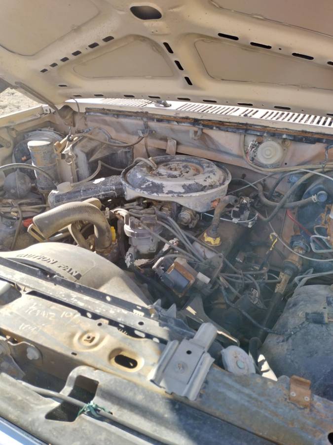 Ford-f100-1959-white-9