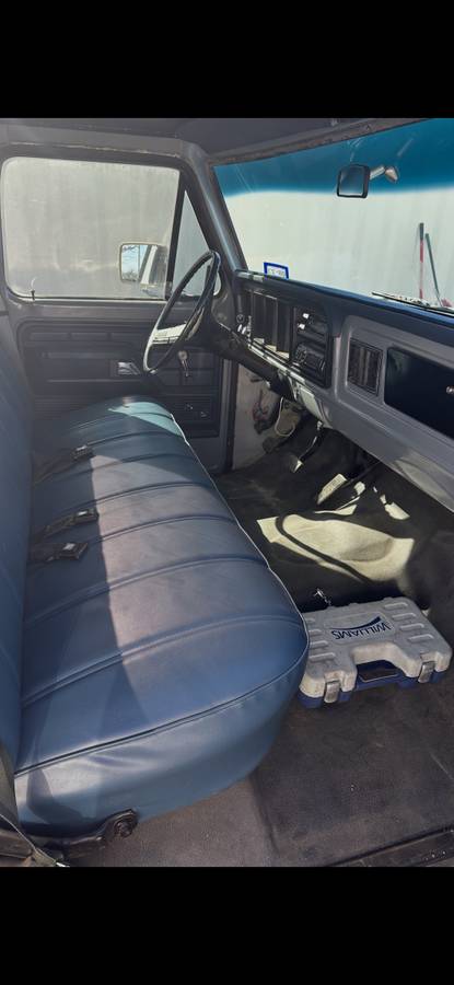 Ford-f100-1976-grey-1