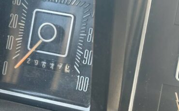 Ford-f100-1976-grey-2