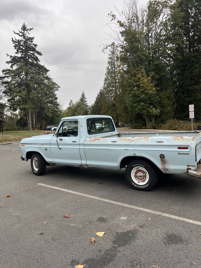 Ford-f100-custom-1976-blue-2