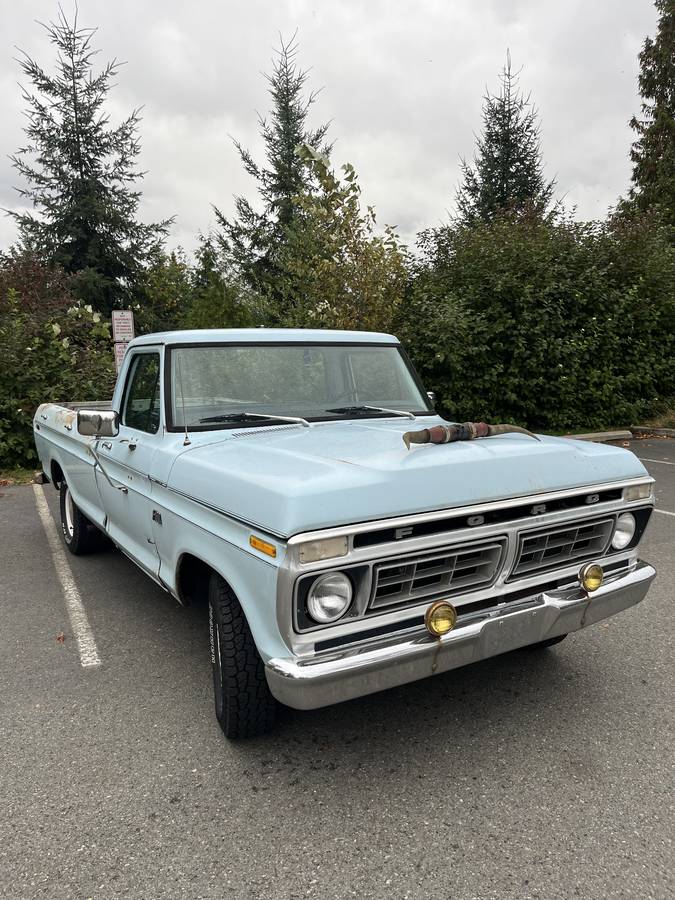 Ford-f100-custom-1976-blue-6