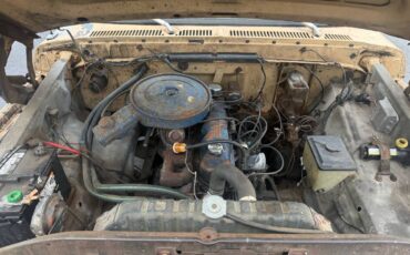 Ford-f100-custom-1976-yellow-6