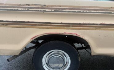 Ford-f100-custom-1976-yellow-8