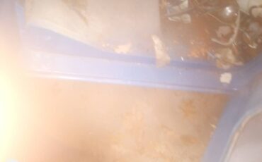 Ford-f100-custom-cab-1966-blue-9