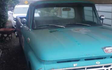 Ford-f100-pickup-1964-green-2