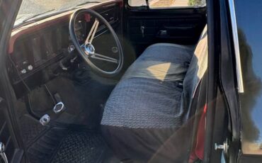 Ford-f100-pickup-1976-black-6