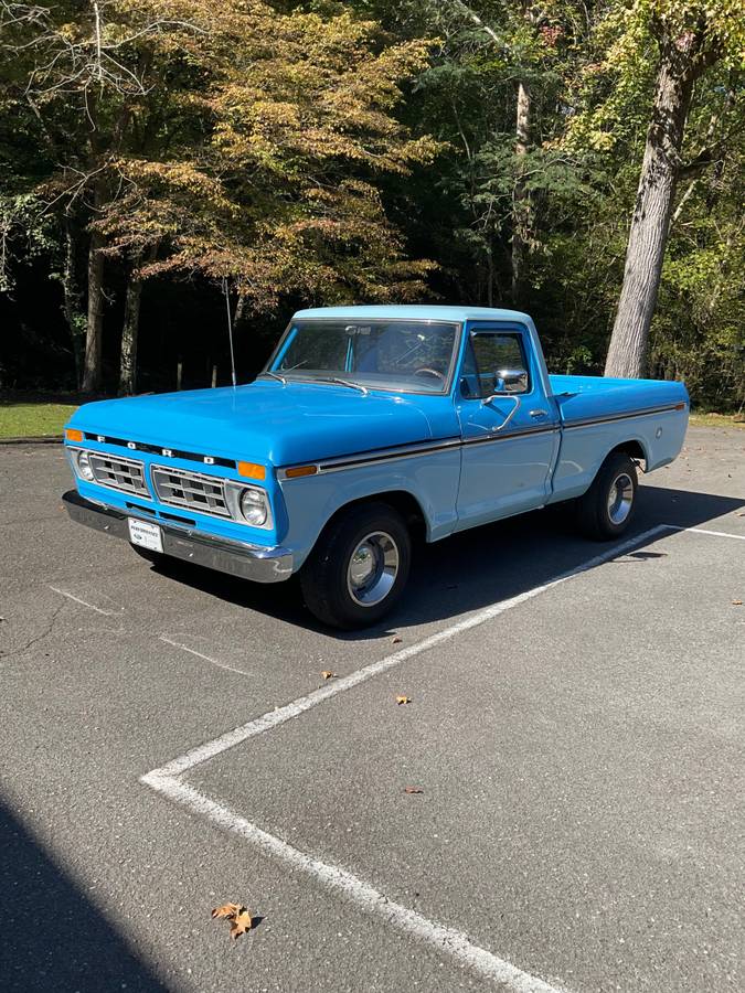 Ford-f100-pickup-1976-blue-2