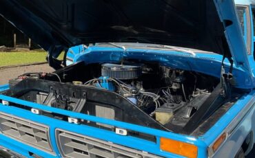 Ford-f100-pickup-1976-blue-6