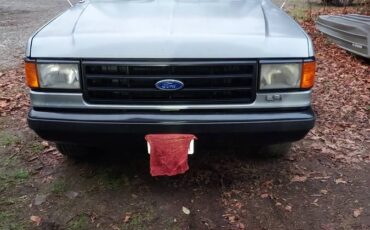 Ford-f150-1991-grey