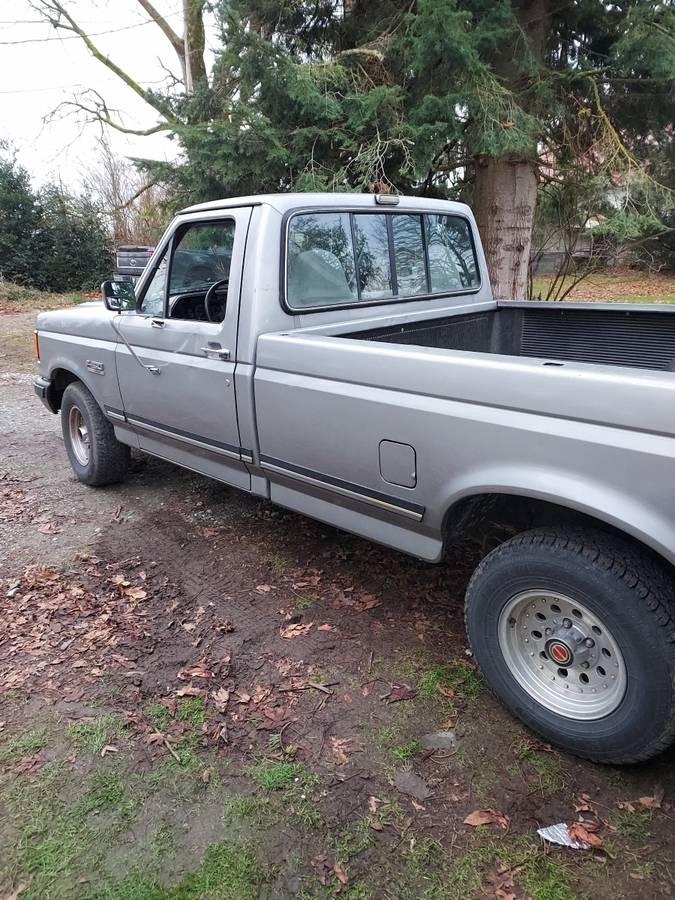 Ford-f150-1991-grey-8