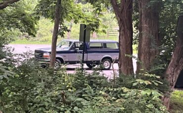 Ford-f150-xlt-1995-blue-1