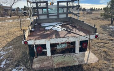 Ford-f250-1960-white-4