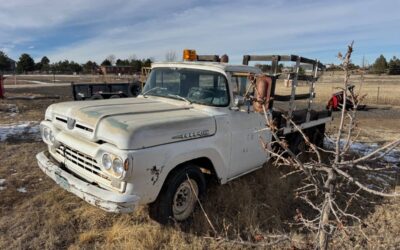 Ford f250 1960