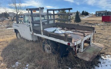 Ford-f250-1960-white-5
