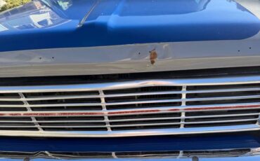 Ford-f250-1968-blue-5