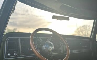 Ford-f250-1976-green-8