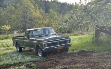 Ford-f250-1976-green-9