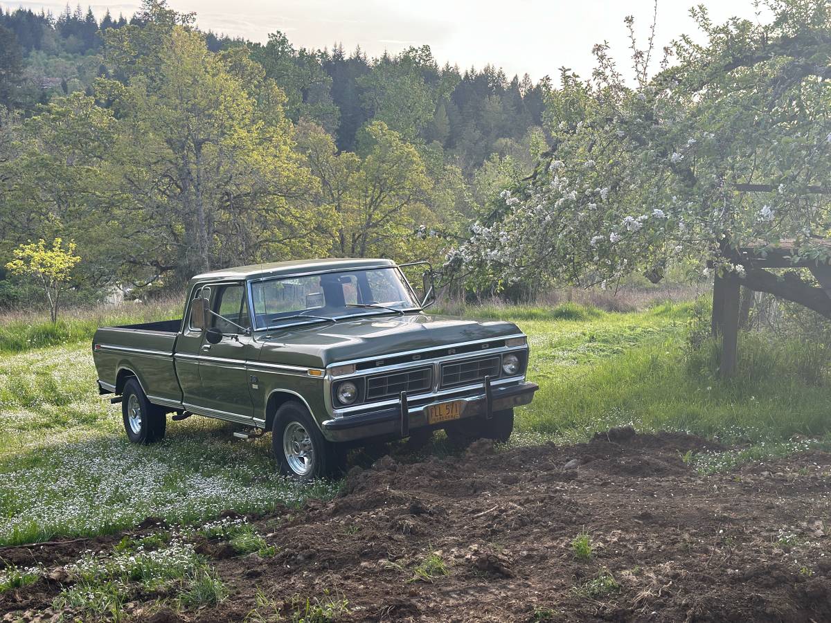 Ford-f250-1976-green-9