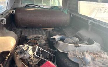 Ford-f250-1978-brown-2