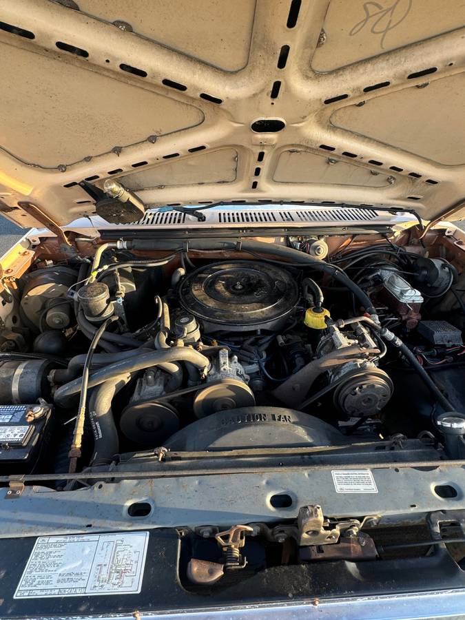 Ford-f250-1986-brown-18