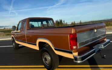 Ford-f250-1986-brown-2