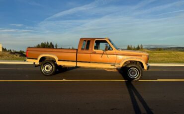 Ford-f250-1986-brown-3