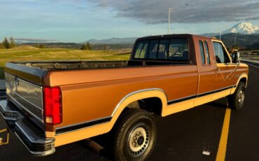 Ford-f250-1986-brown-4