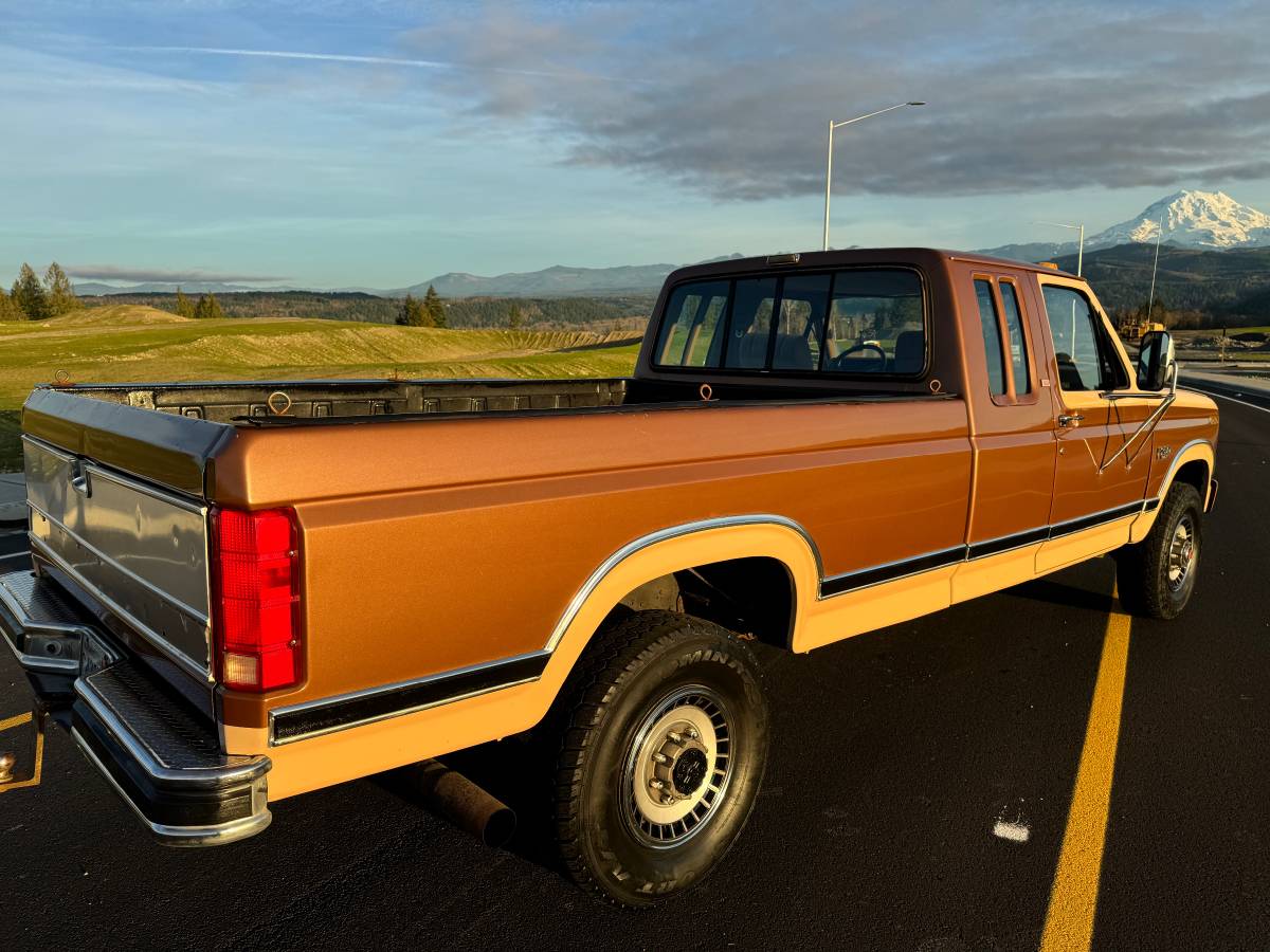 Ford-f250-1986-brown-4