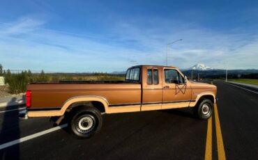 Ford-f250-1986-brown-5