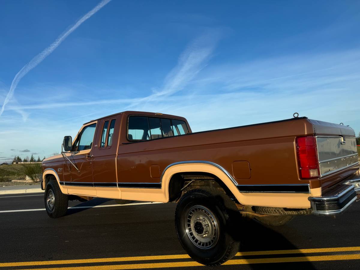 Ford-f250-1986-brown-6