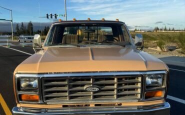 Ford-f250-1986-brown-7