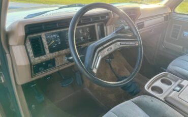 Ford-f250-1986-brown-9