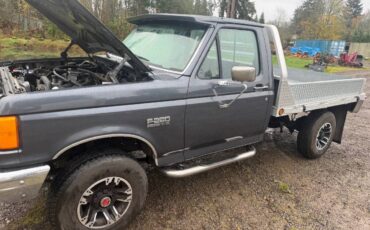 Ford-f250-4x4-1990-grey-1