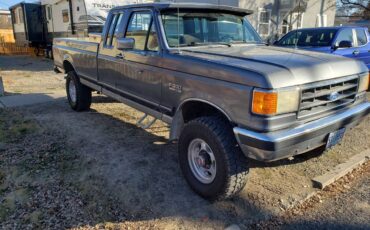 Ford-f250-4x4-lariat-1990-grey-5
