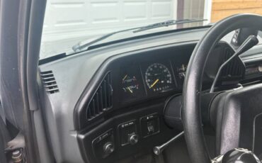 Ford-f350-custom-dually-1990-grey-3