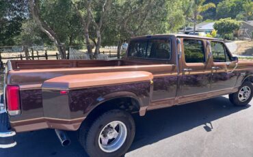 Ford-f350-super-duty-crew-cab-diesel-1990-brown-8