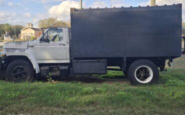 Ford-f600-diesel-1984-white-10