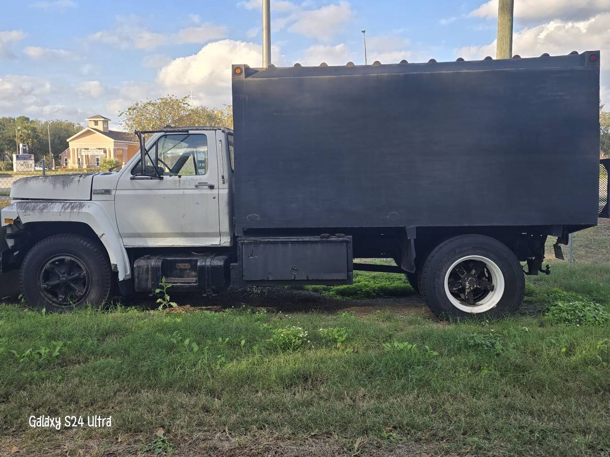 Ford-f600-diesel-1984-white-10