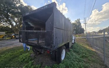 Ford-f600-diesel-1984-white-6